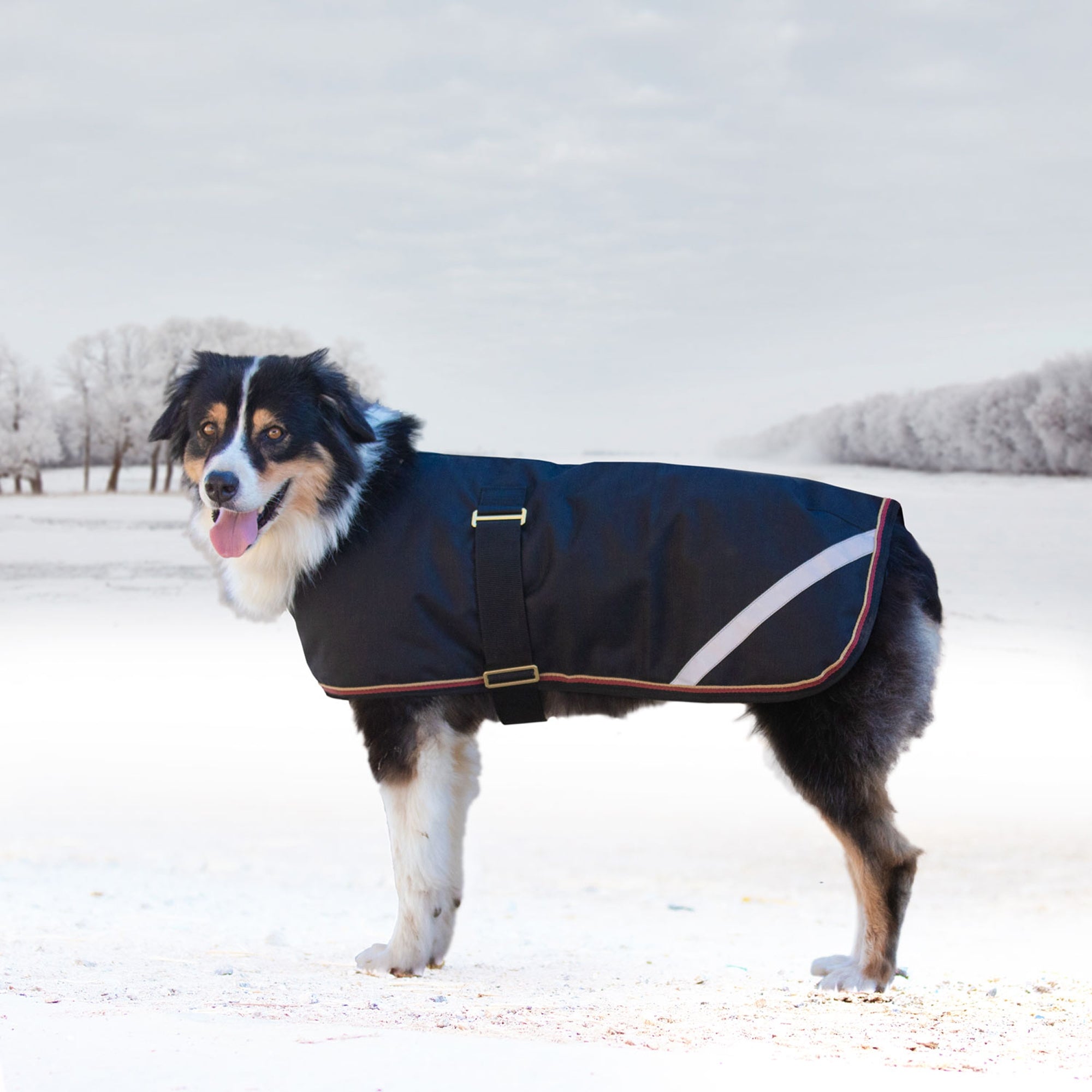 Kensington 1200D Winter Dog Coat - 180g