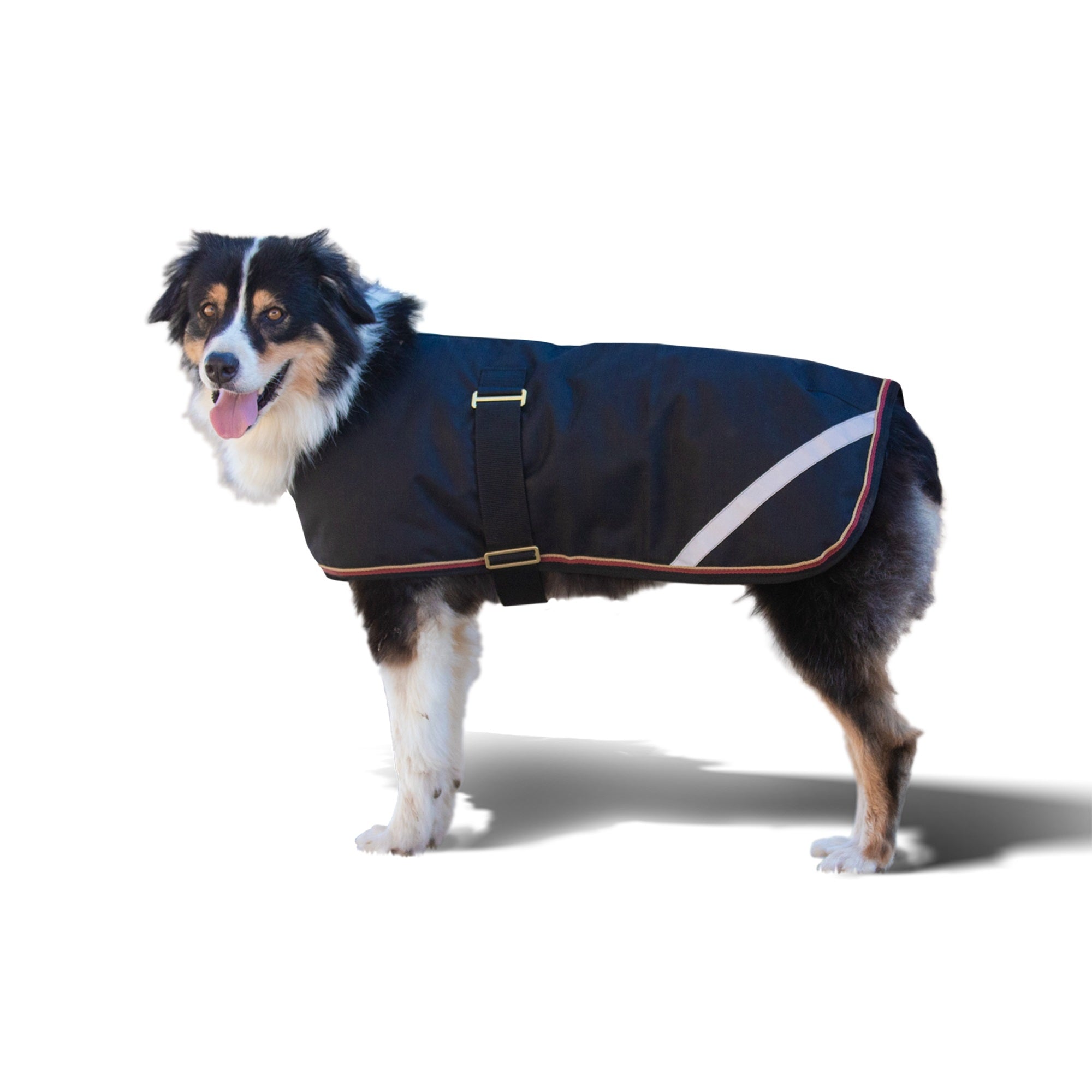 Kensington 1200D Winter Dog Coat - 180g