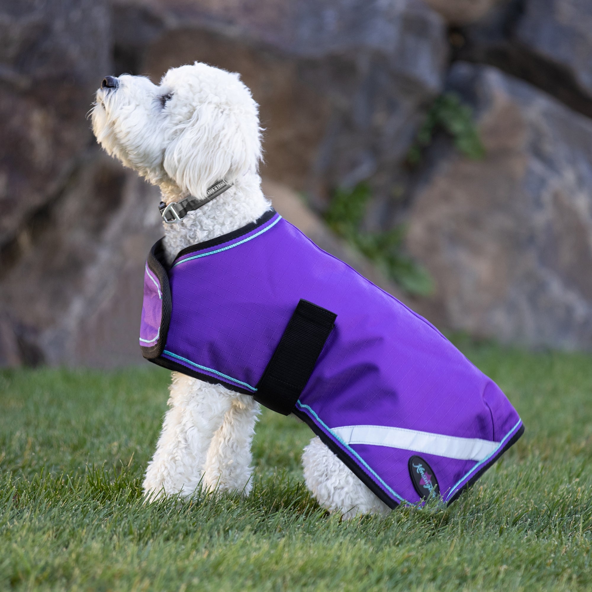 Kensington 1200D Winter Dog Coat - 180g