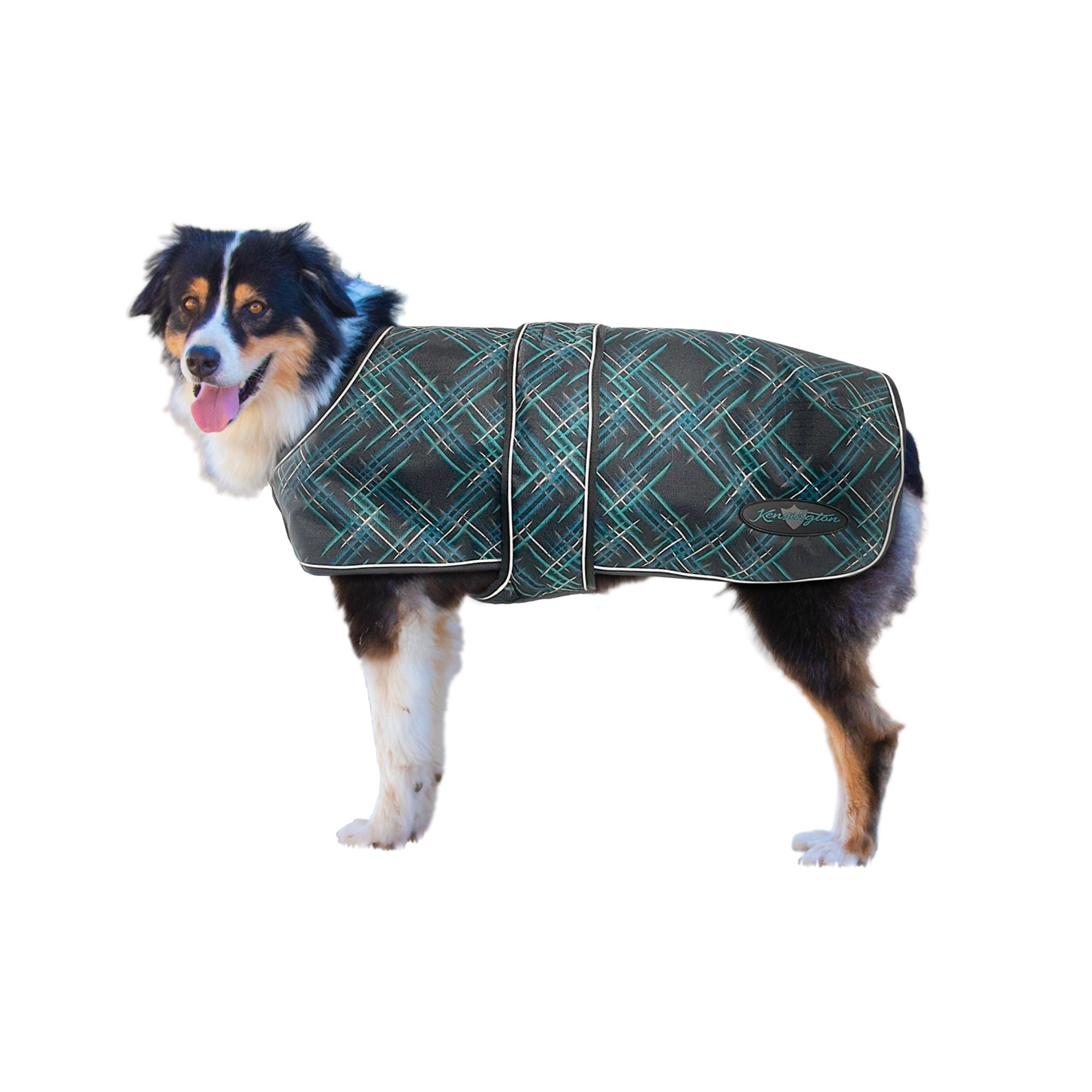 Kensington 1200D Winter Dog Coat with Chest Wrap -180g