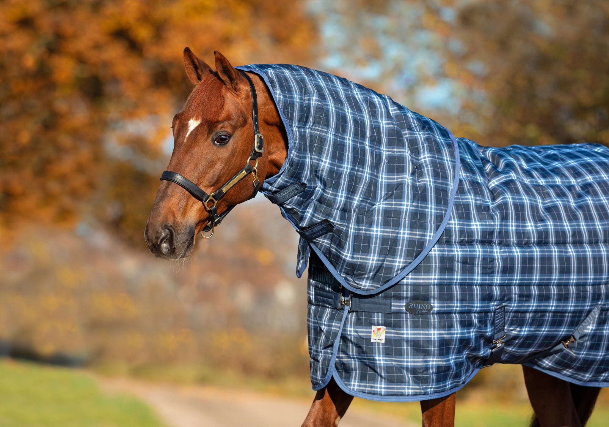 Rhino Original Stable Hood (150g Lite)