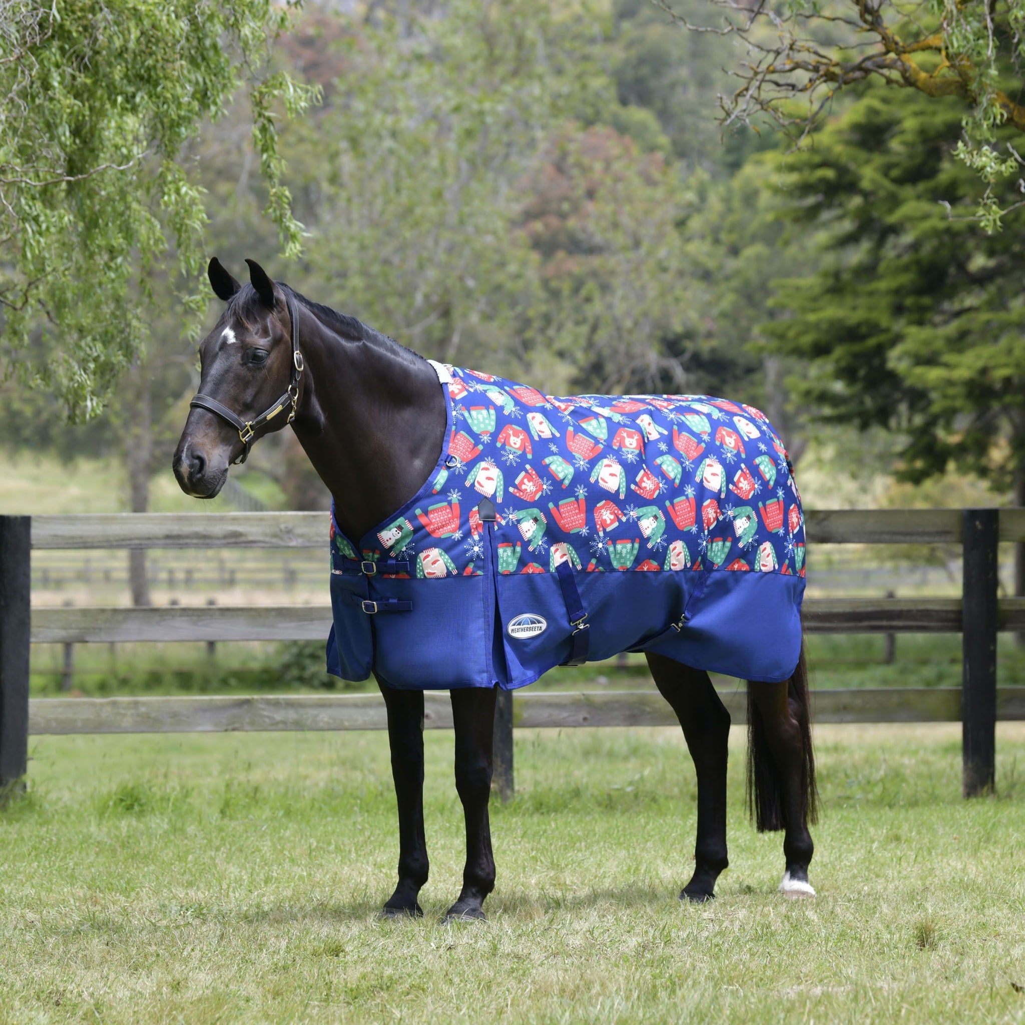 Weatherbeeta ComFiTec Essential Standard Neck Medium Turnout Blanket