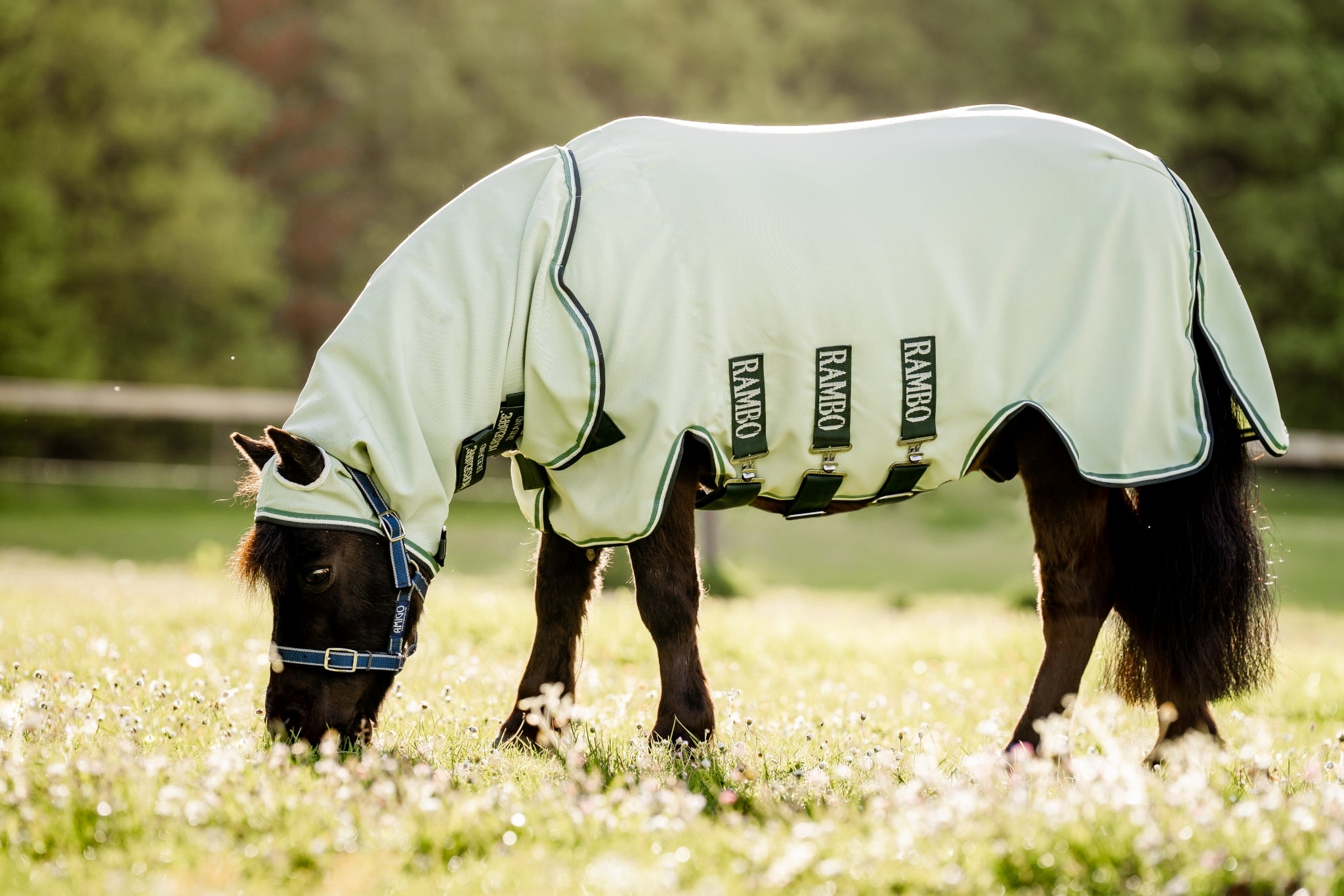 Rambo Petite Hoody