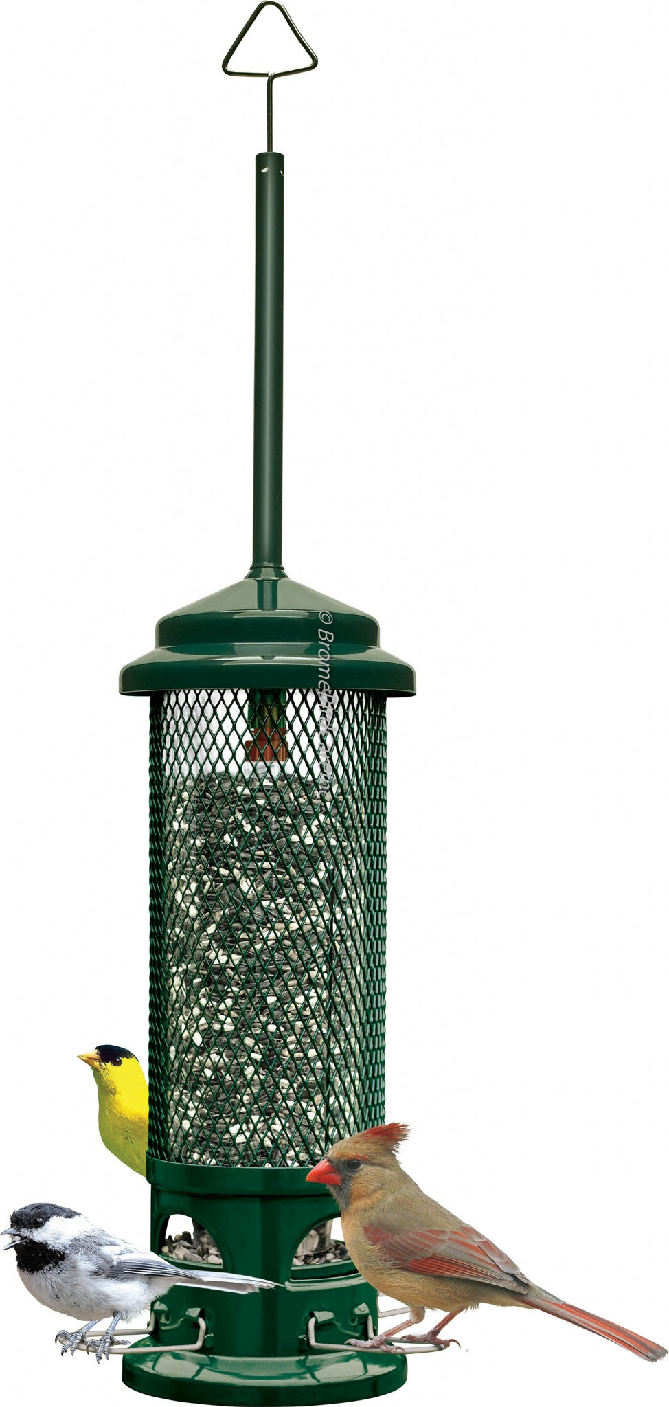 Squirrel Buster Legacy Wild Bird Feeder