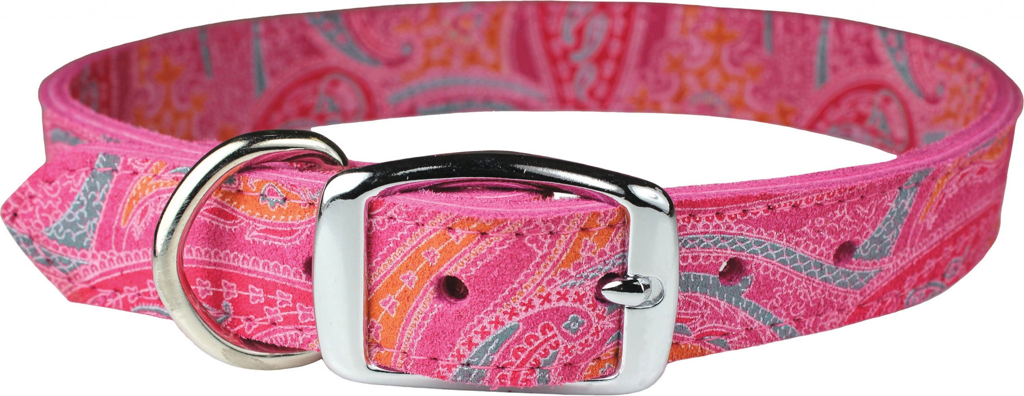 Paisley Collection Dog Collar