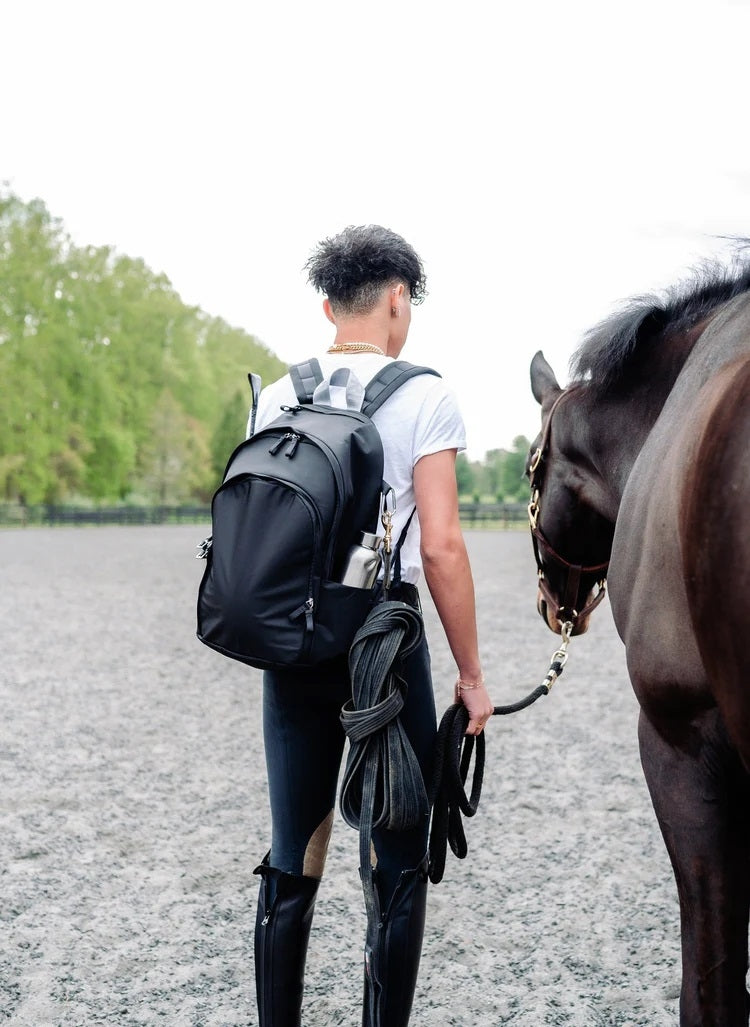 Veltri Delaire Large Backpack