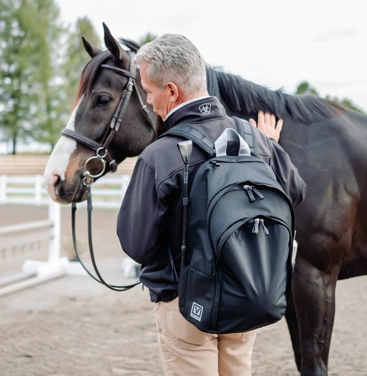 Veltri Delaire Large Backpack