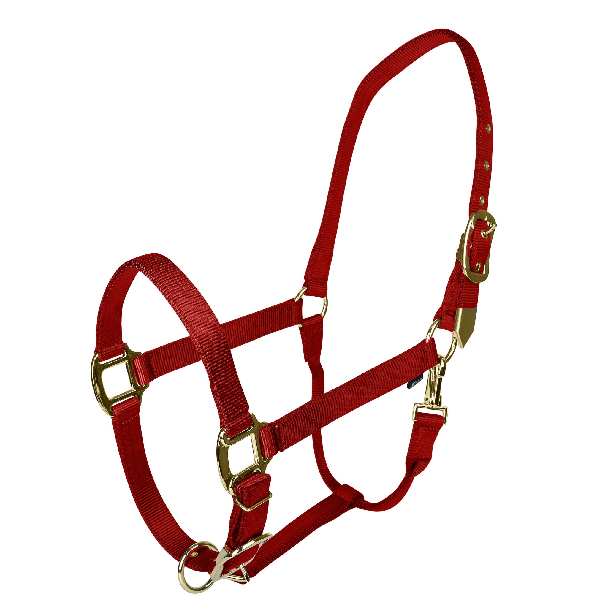 Gatsby Gold Personalized Nylon Breakaway Halter with Snap