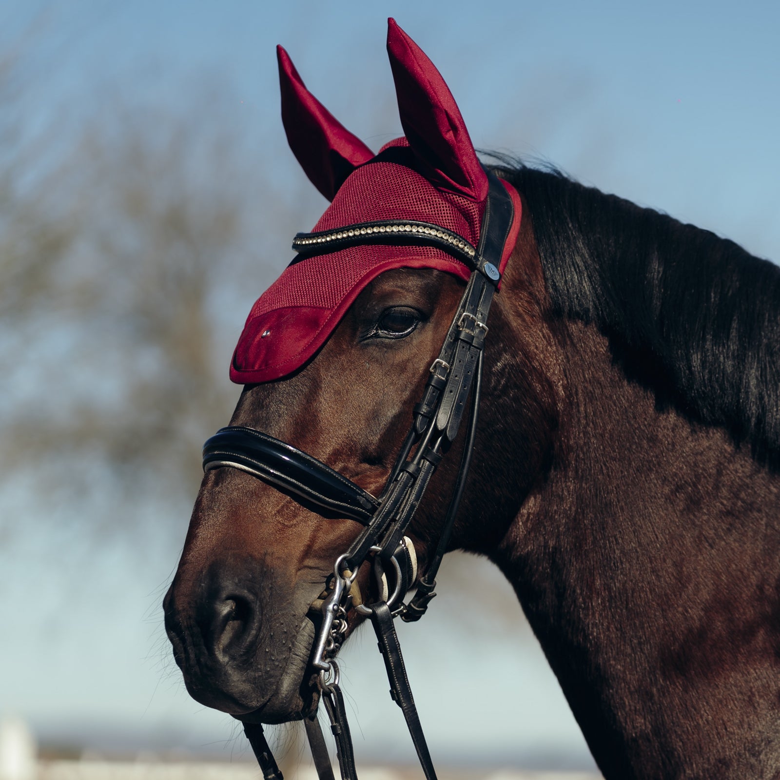 Horze Phoenix Deep Front Ear Net