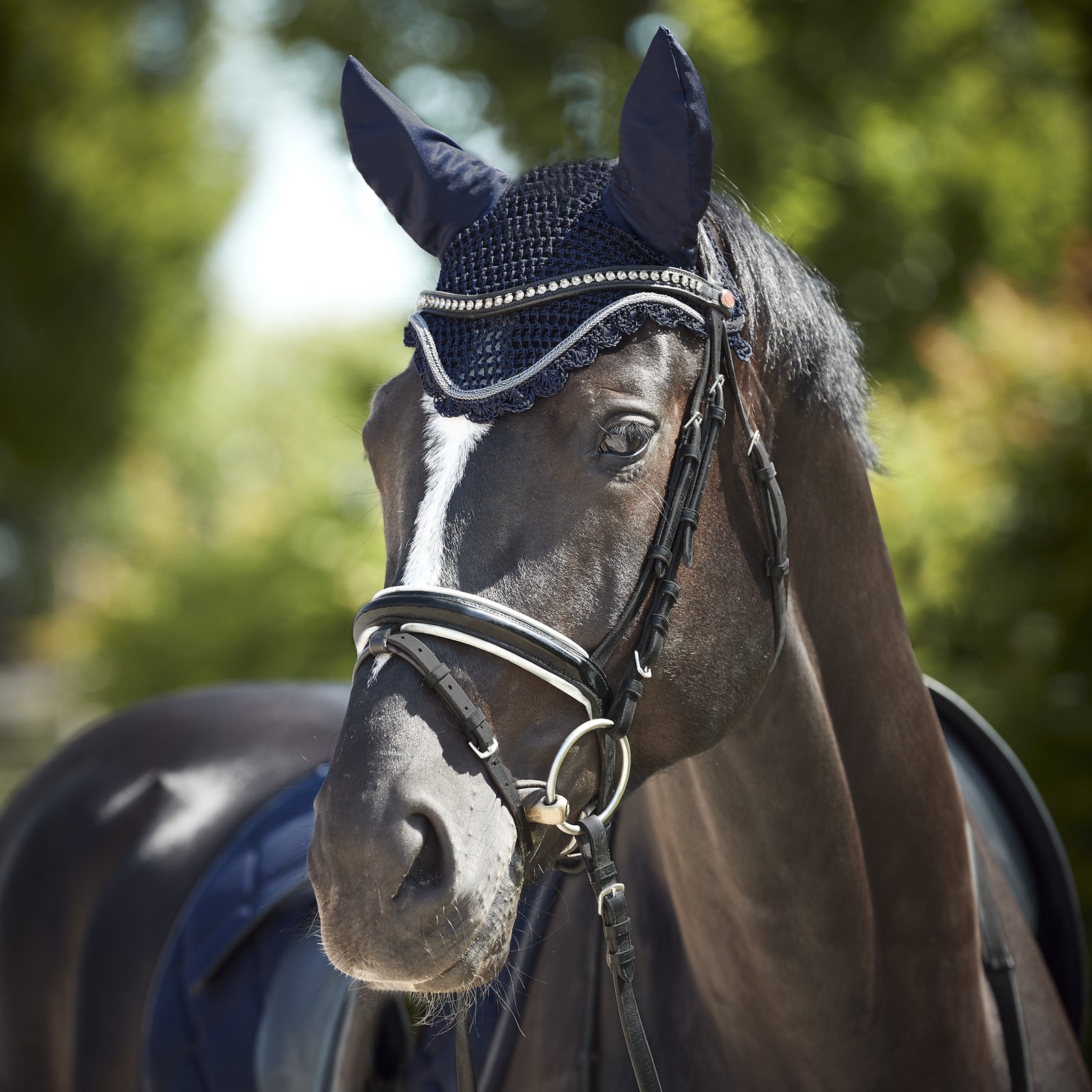 Horze Ghent Ear Net