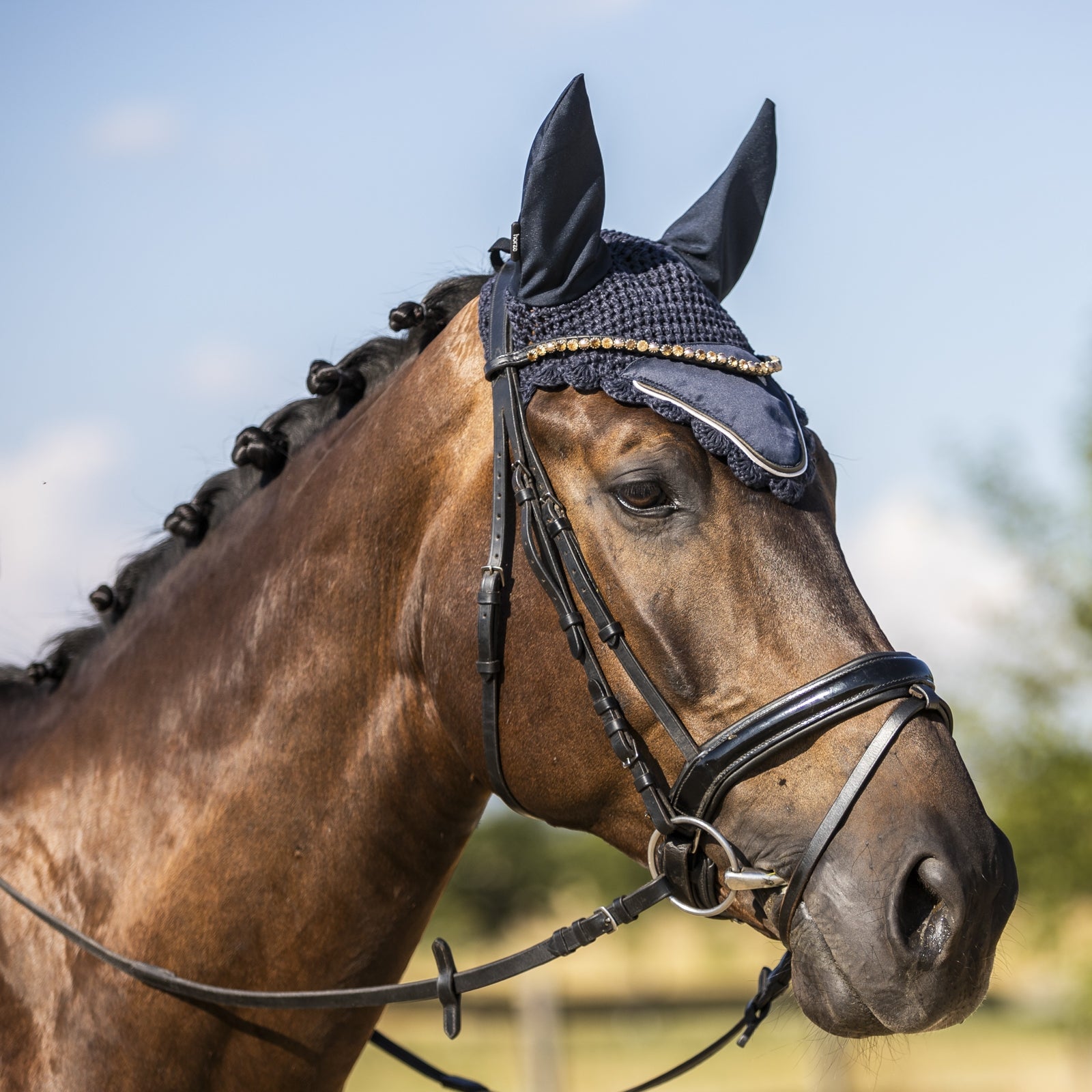 Horze Sandnes Ear Net