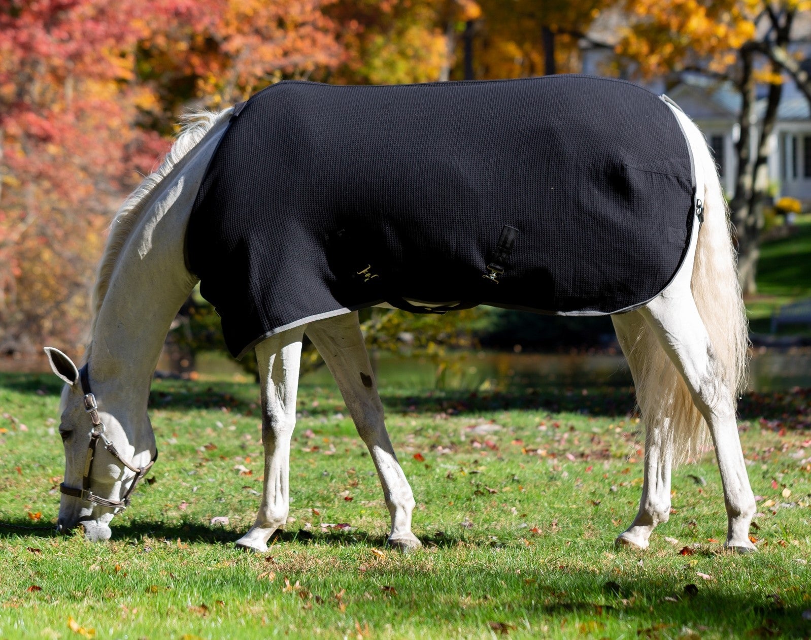Equinavia Luftig Waffle Cooler