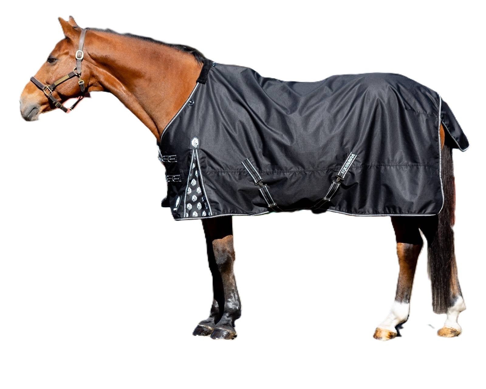 Equinavia Norse Pony Turnout Blanket 300g