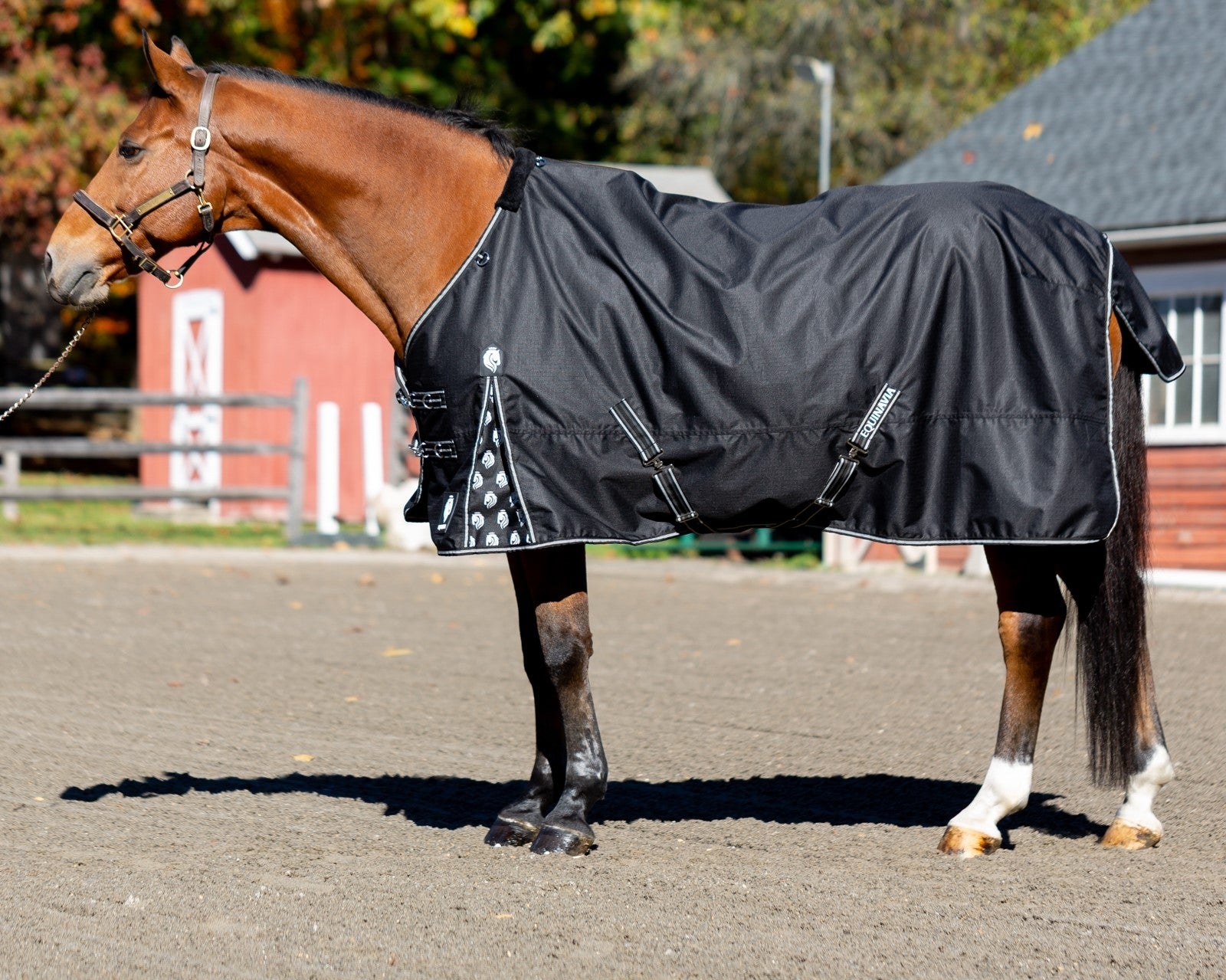Equinavia Norse Pony Turnout Blanket 300g