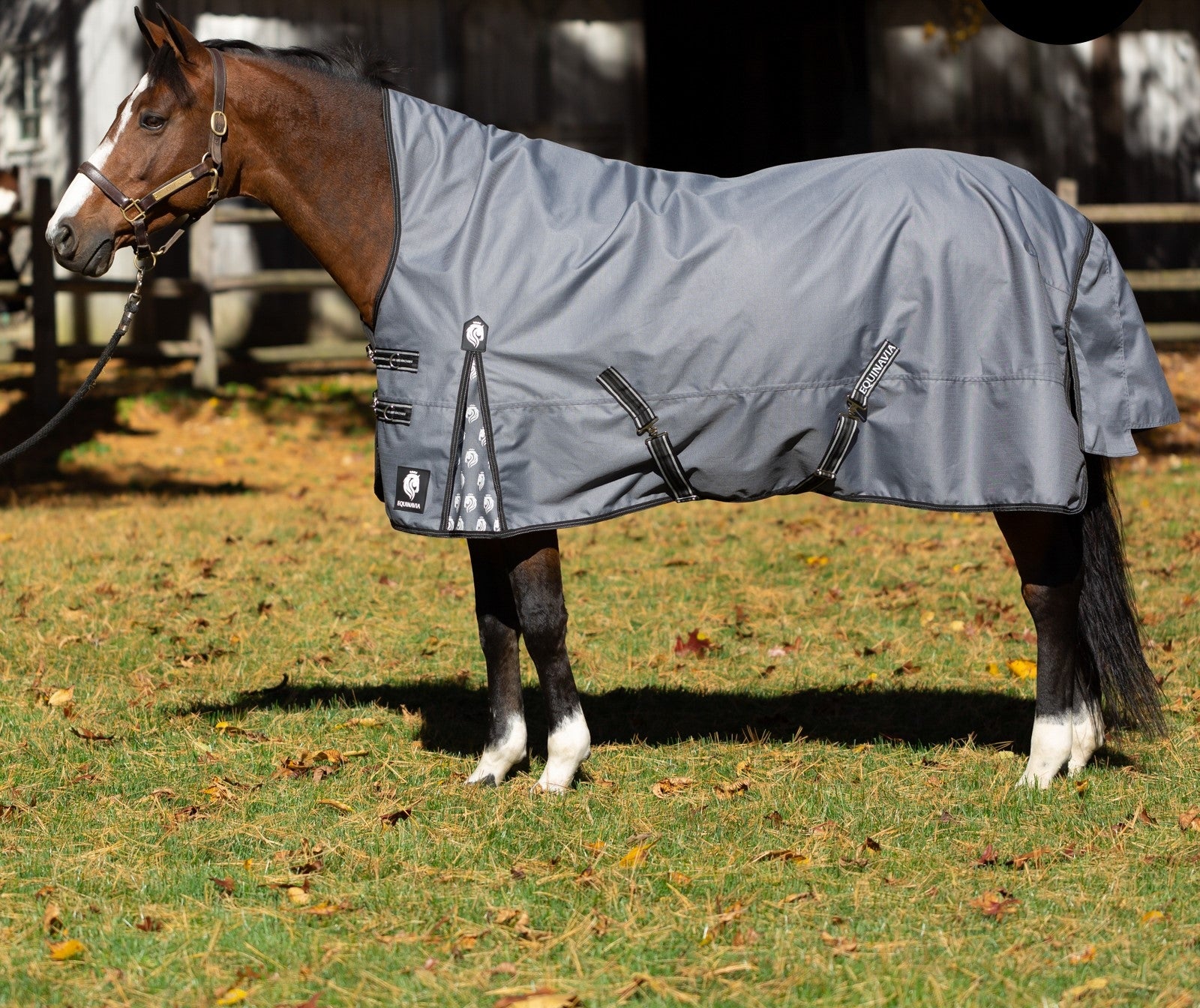 Equinavia Arktis Extended Neck Heavy Weight Turnout Blanket 300g