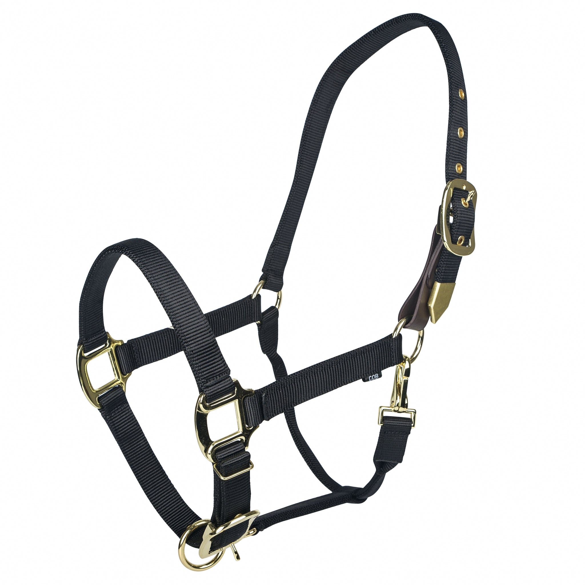 Gatsby Gold Personalized Nylon Breakaway Halter with Snap