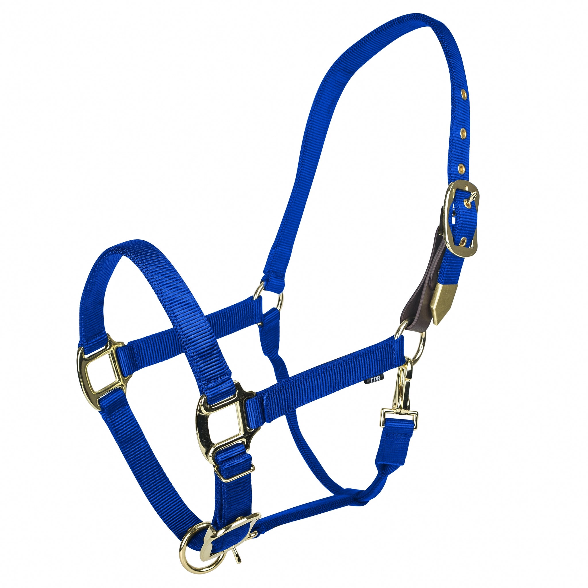 Gatsby Gold Personalized Nylon Breakaway Halter with Snap