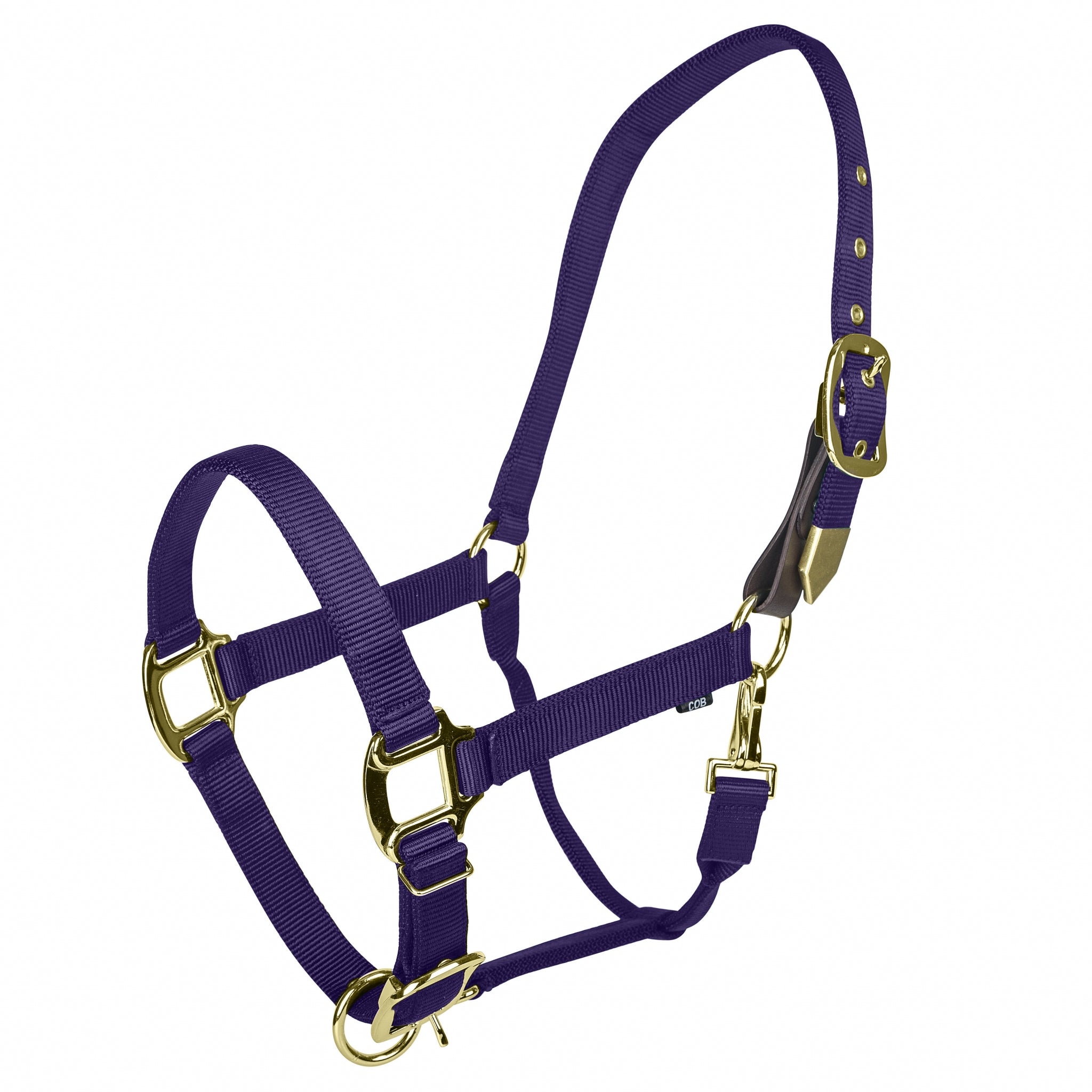 Gatsby Gold Personalized Nylon Breakaway Halter with Snap