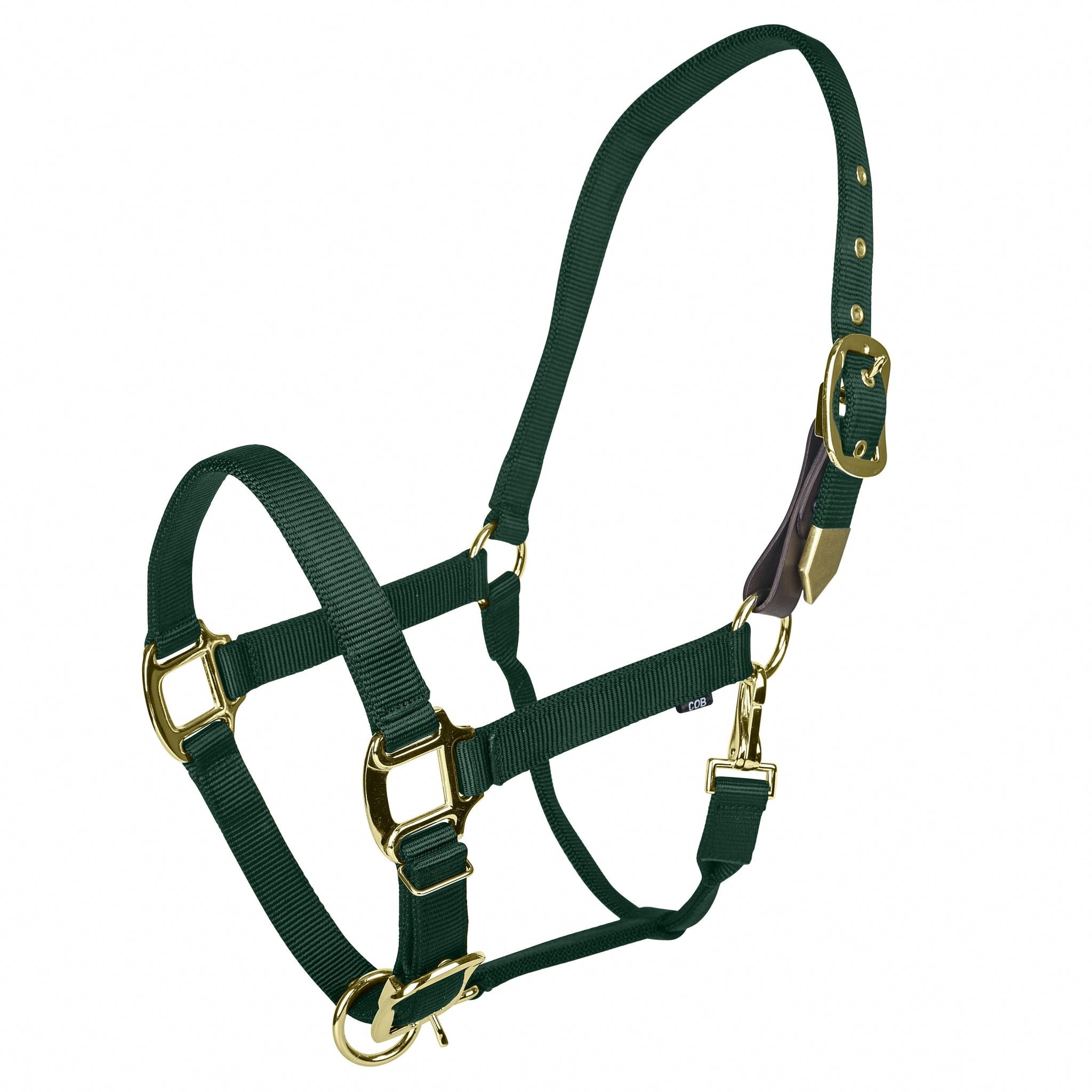 Gatsby Gold Personalized Nylon Breakaway Halter with Snap