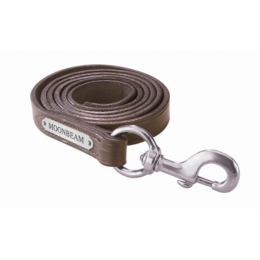 Perri's Personalized Leather Lead with Snap