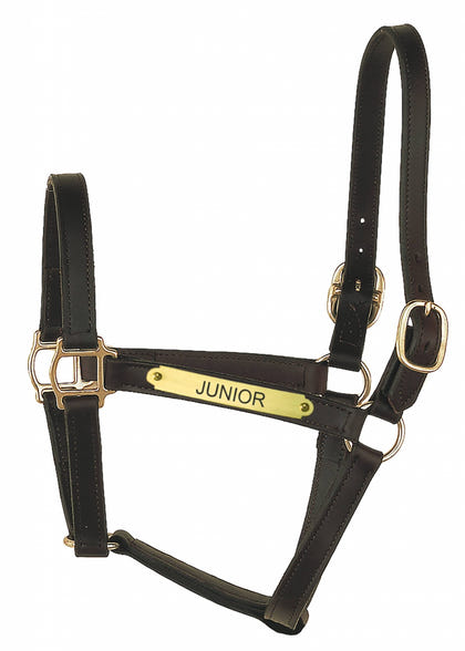 Perri's Personalized 1" Track Syle Turnout Halter