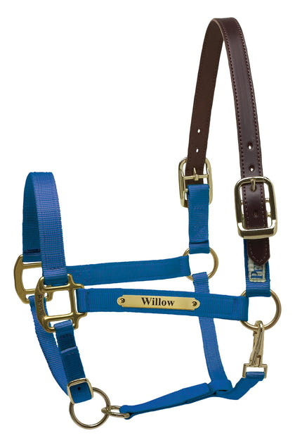 Perri's Personalized Premium Nylon Safety Halter