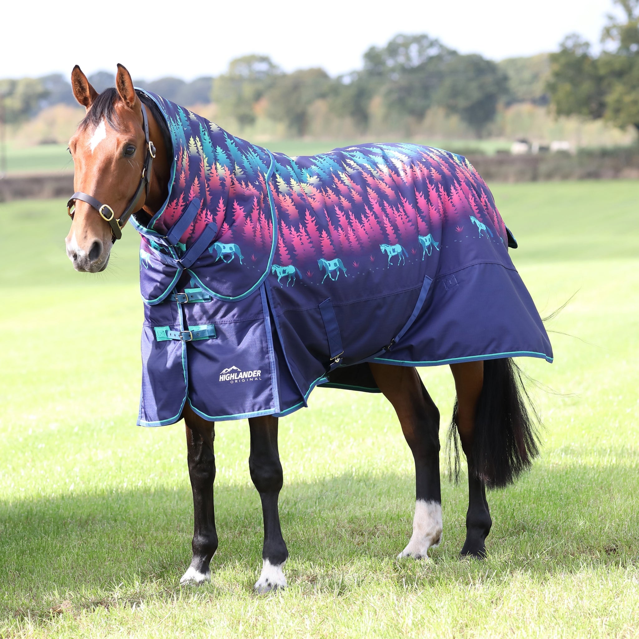 Shires Tempest Org 200g Hood