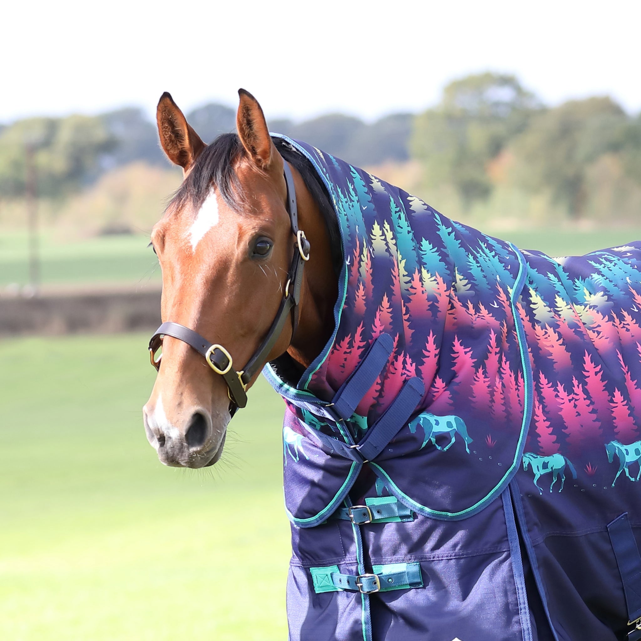 Shires Tempest Org 200g Hood