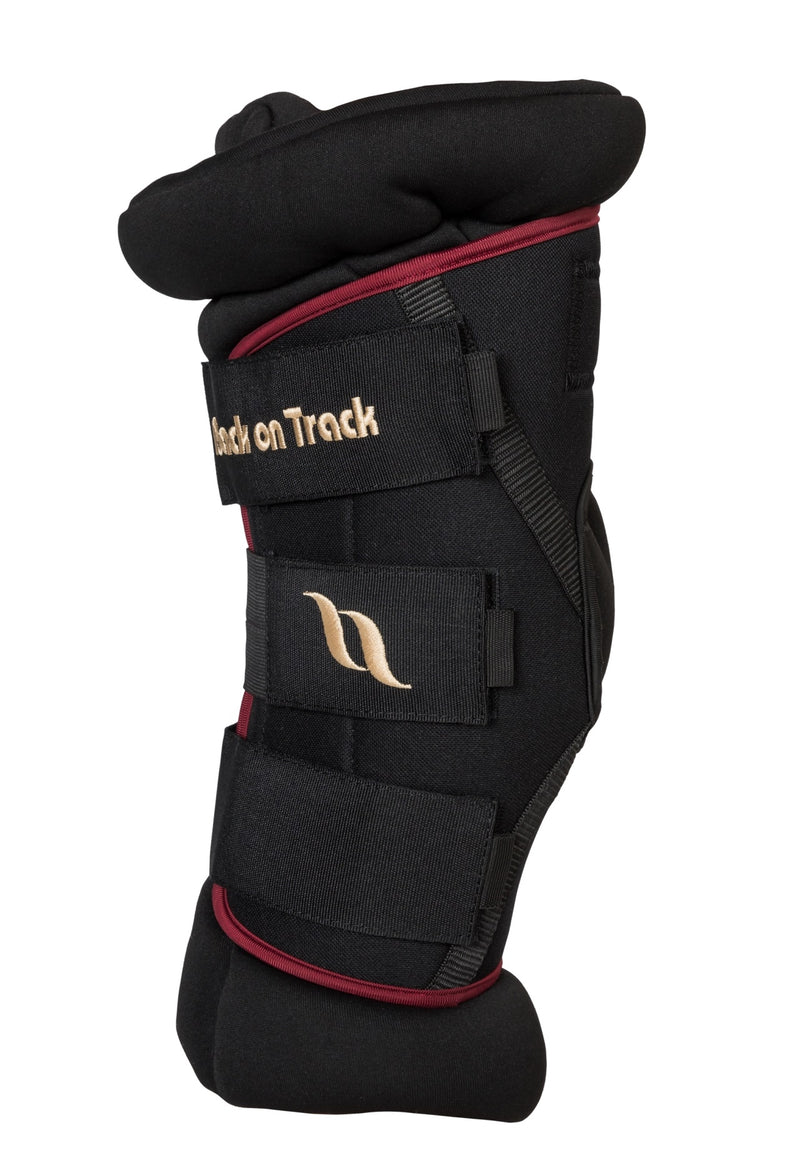 Back on Track Royal Padded Hock Boots Deluxe with Holes