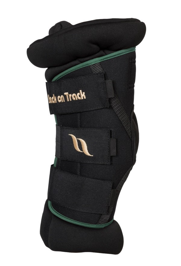 Back on Track Royal Padded Hock Boots Deluxe with Holes