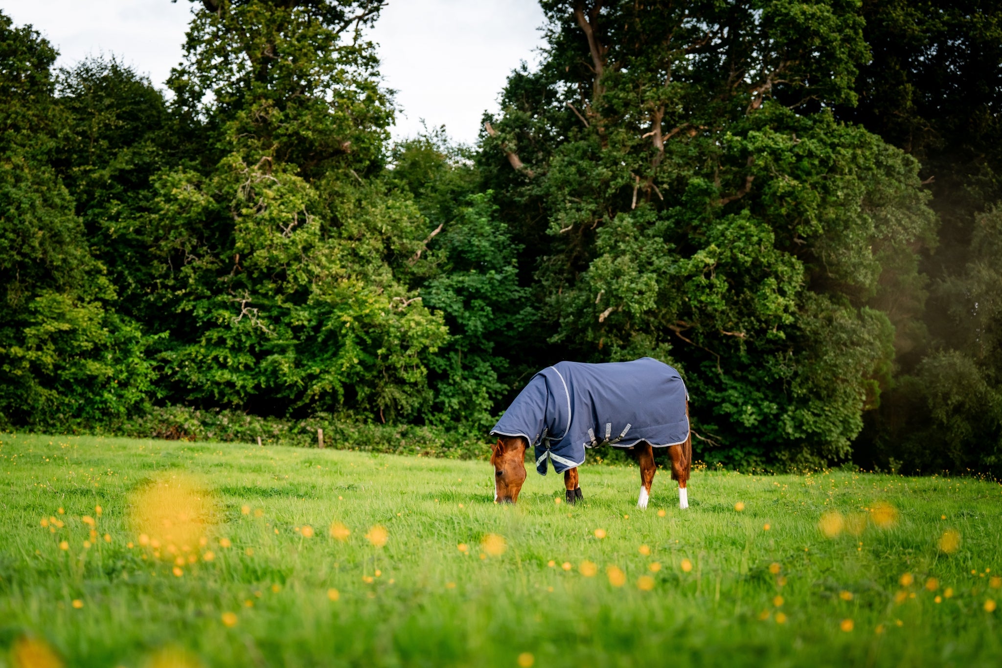 Rhino Plus Vari-Layer Turnout (450g Heavy)