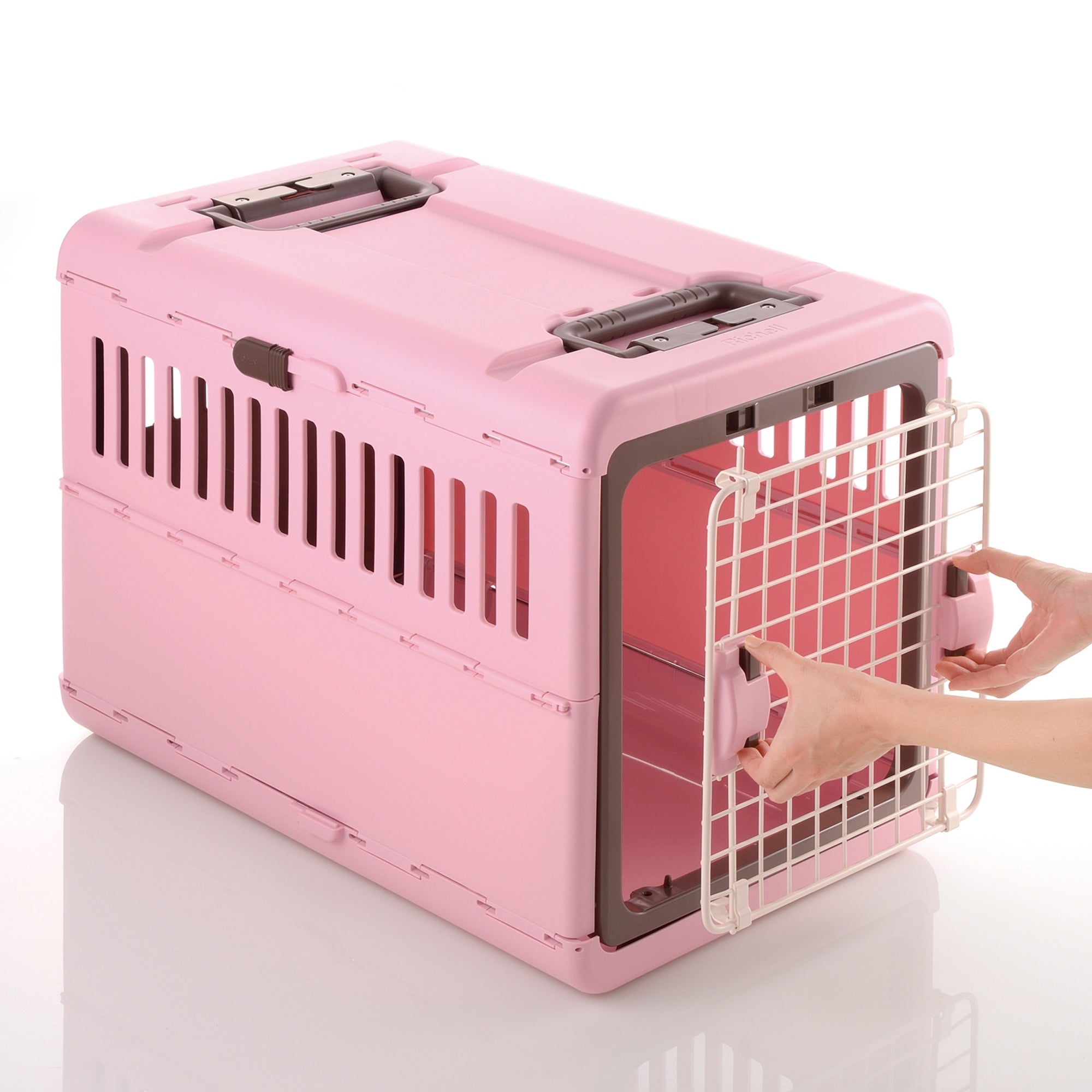 Richell Foldable Pet Carrier
