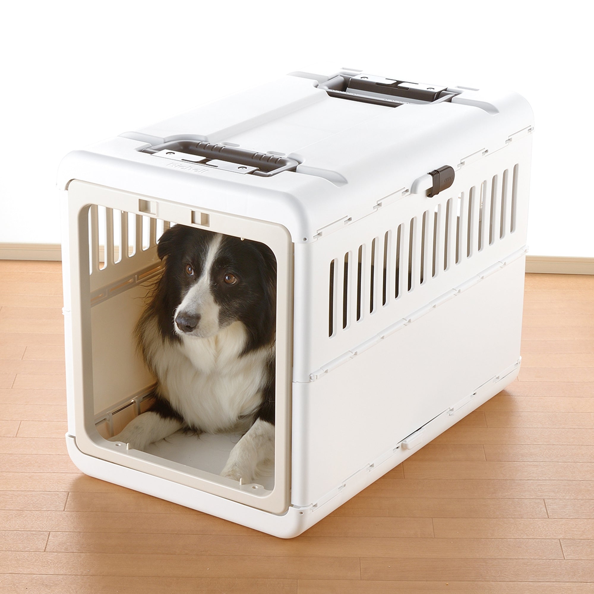 Richell Foldable Pet Carrier