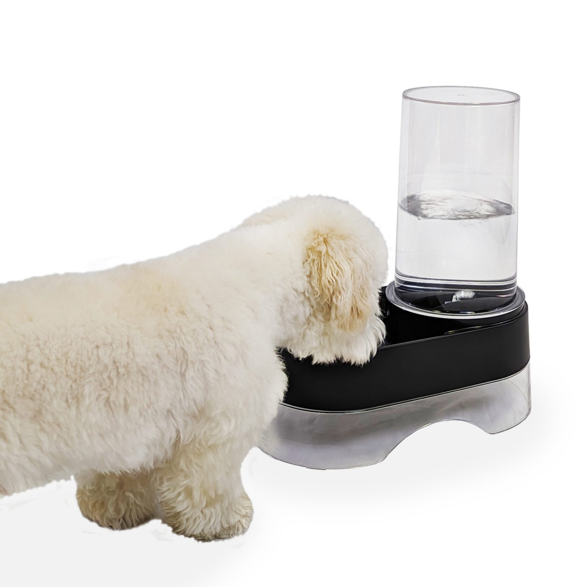Richell Elevated Gravity Pet Water Dispenser