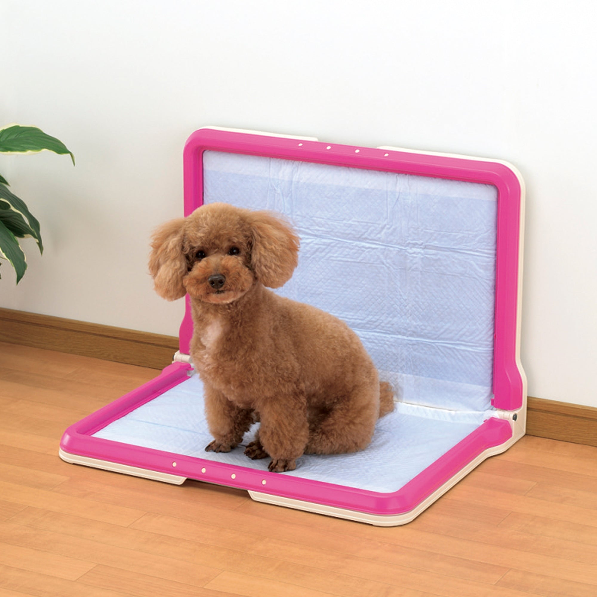 Richell PAW TRAX High Wall Potty Pad Tray