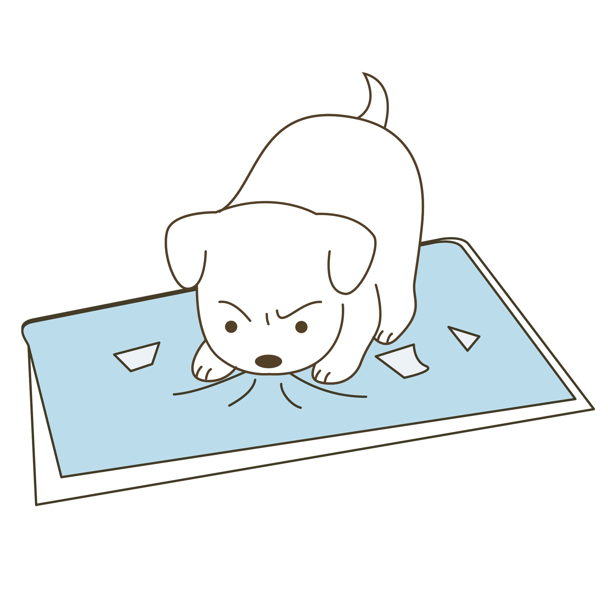 Richell PAW TRAX High Wall Potty Pad Tray