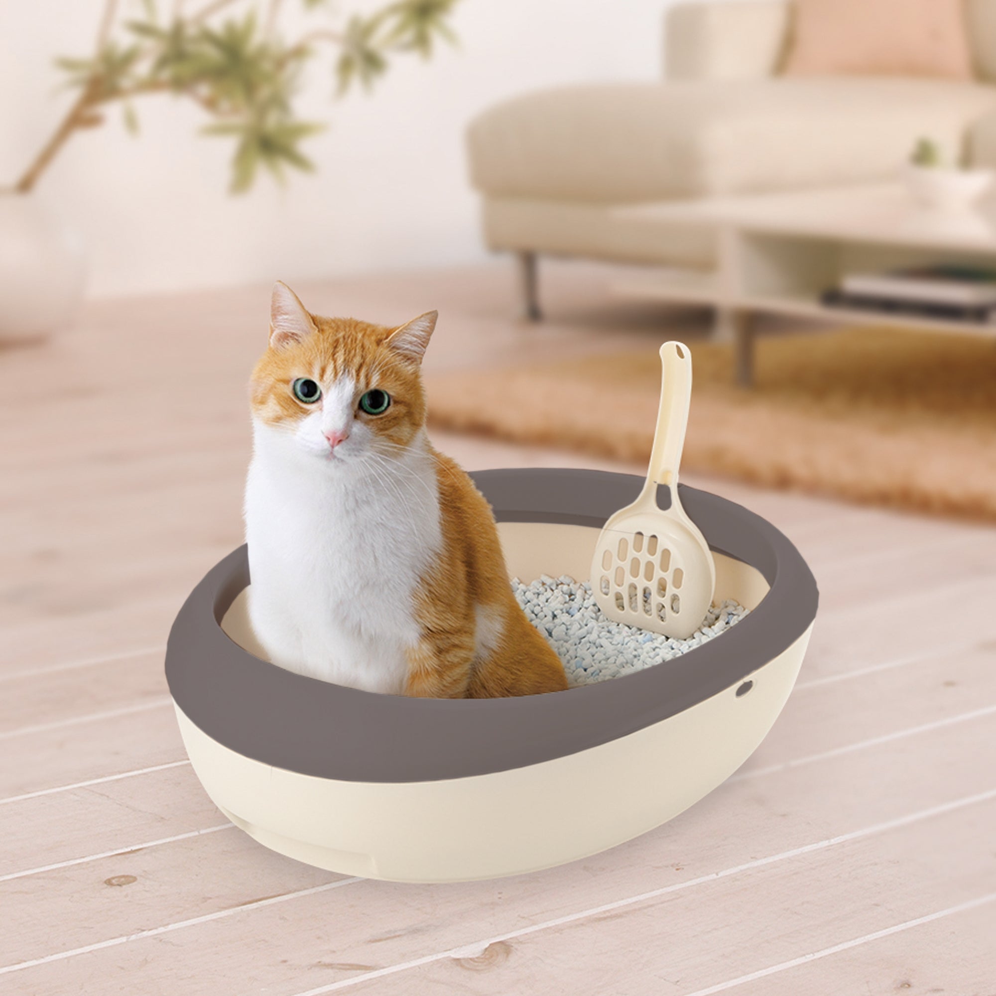 Richell PAW TRAX Top Open Cat Litter Pan