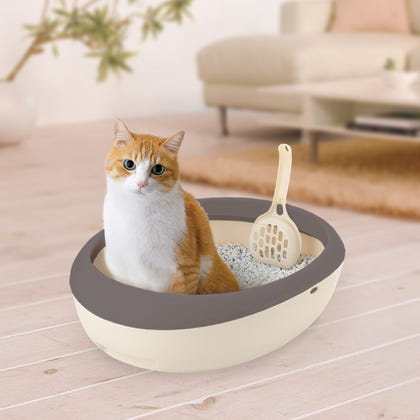 Richell PAW TRAX Top Open Cat Litter Pan