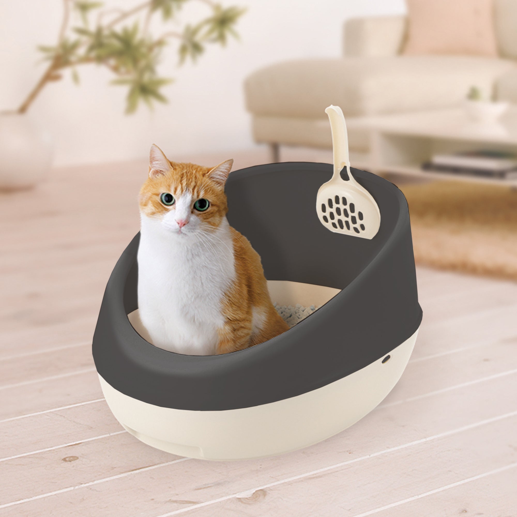 Richell PAW TRAX Rimmed Cat Litter Pan