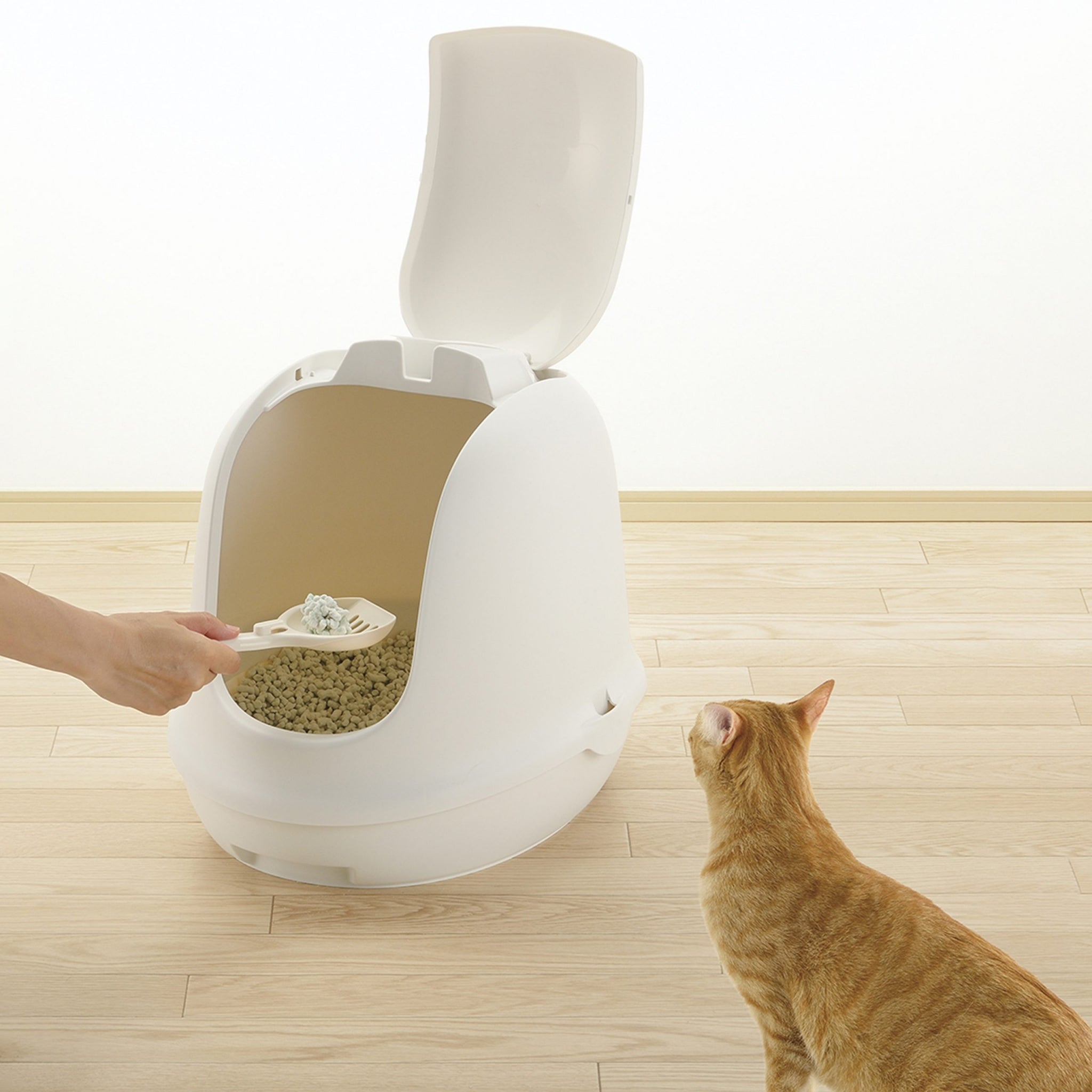 Richell PAW TRAX Dome Hooded Cat Litter Box
