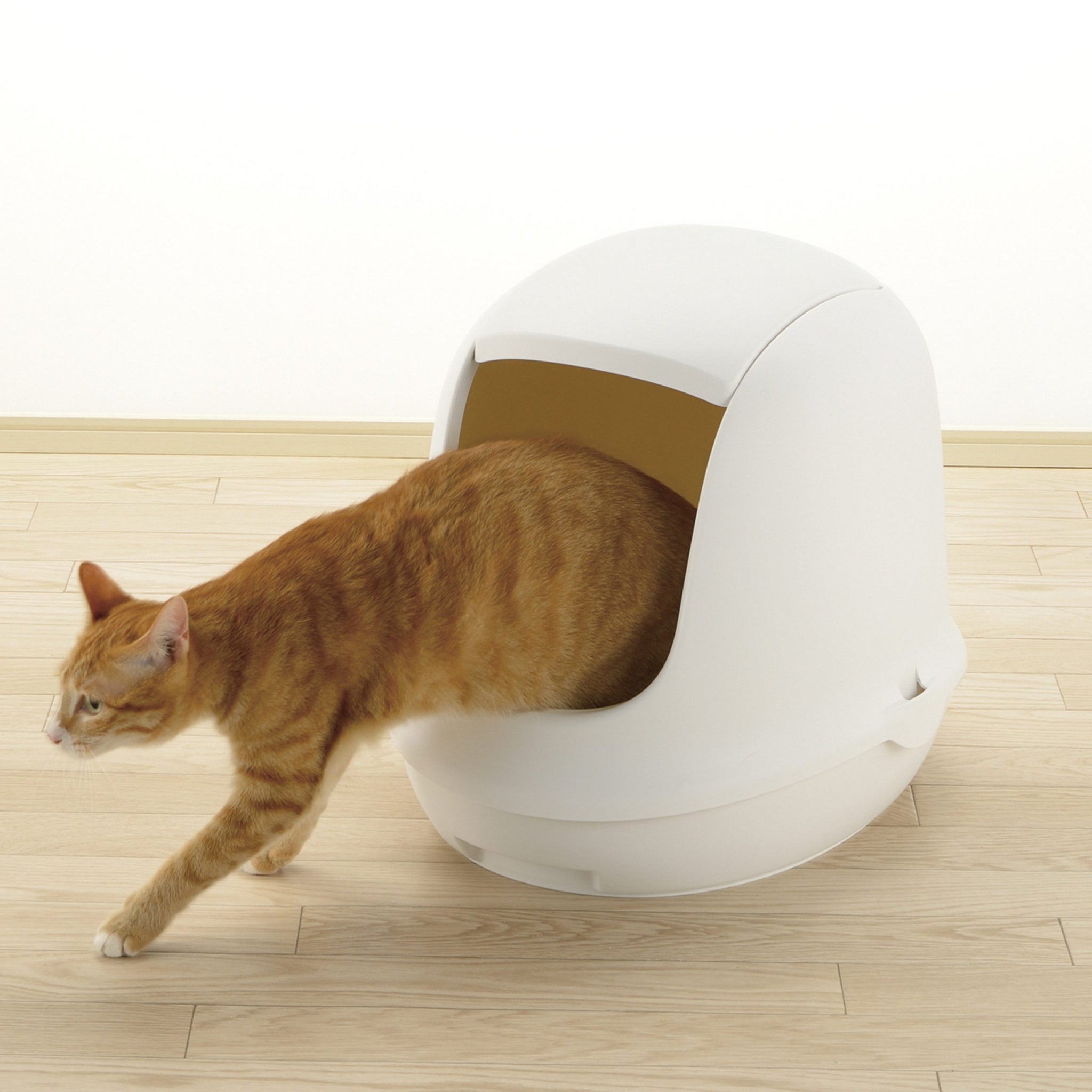 Richell PAW TRAX Dome Hooded Cat Litter Box