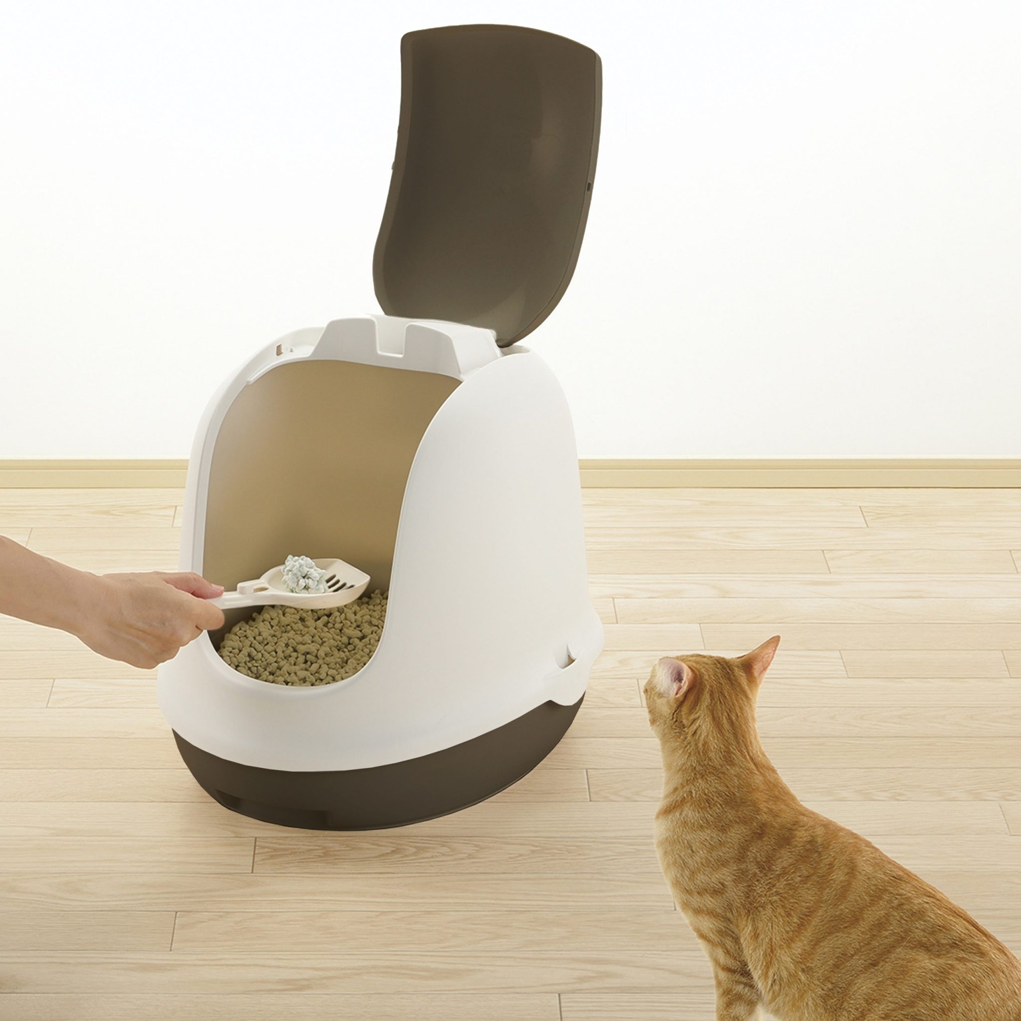 Richell PAW TRAX Dome Hooded Cat Litter Box