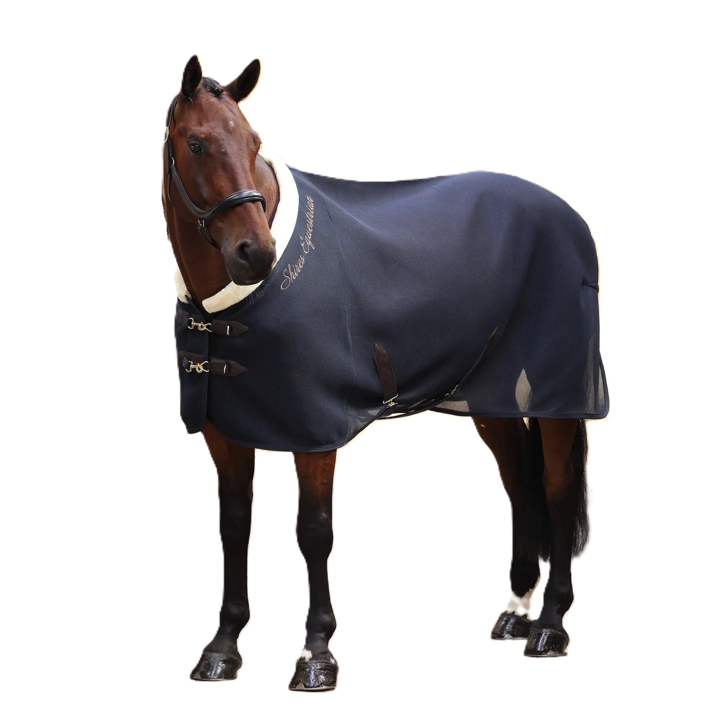 Shires Deluxe Air Motion Cooler