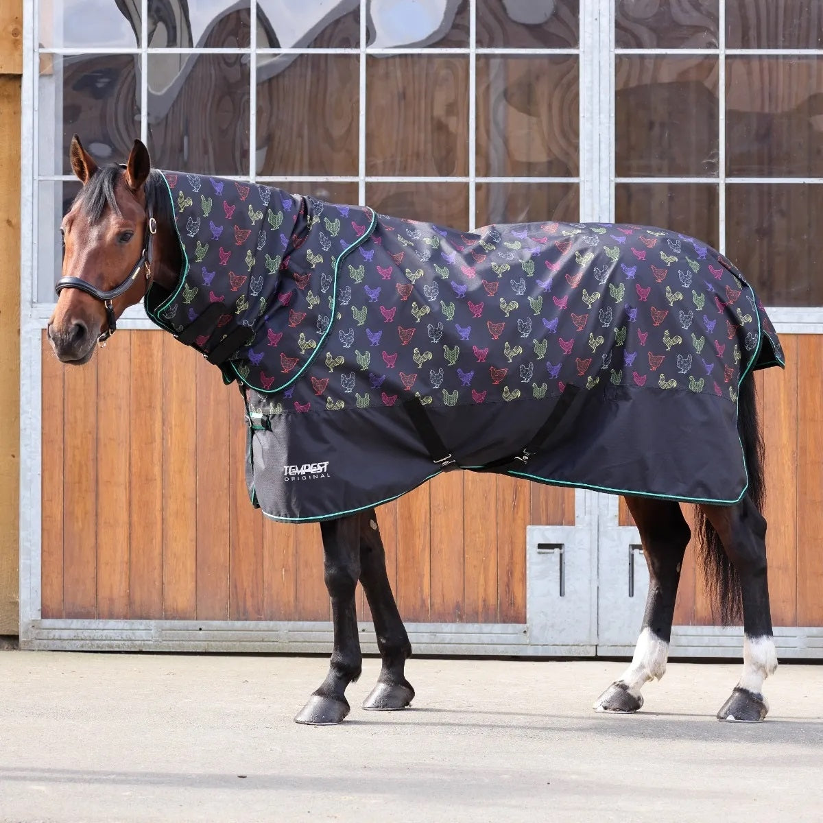 Shires Tempest Org 200g Hood
