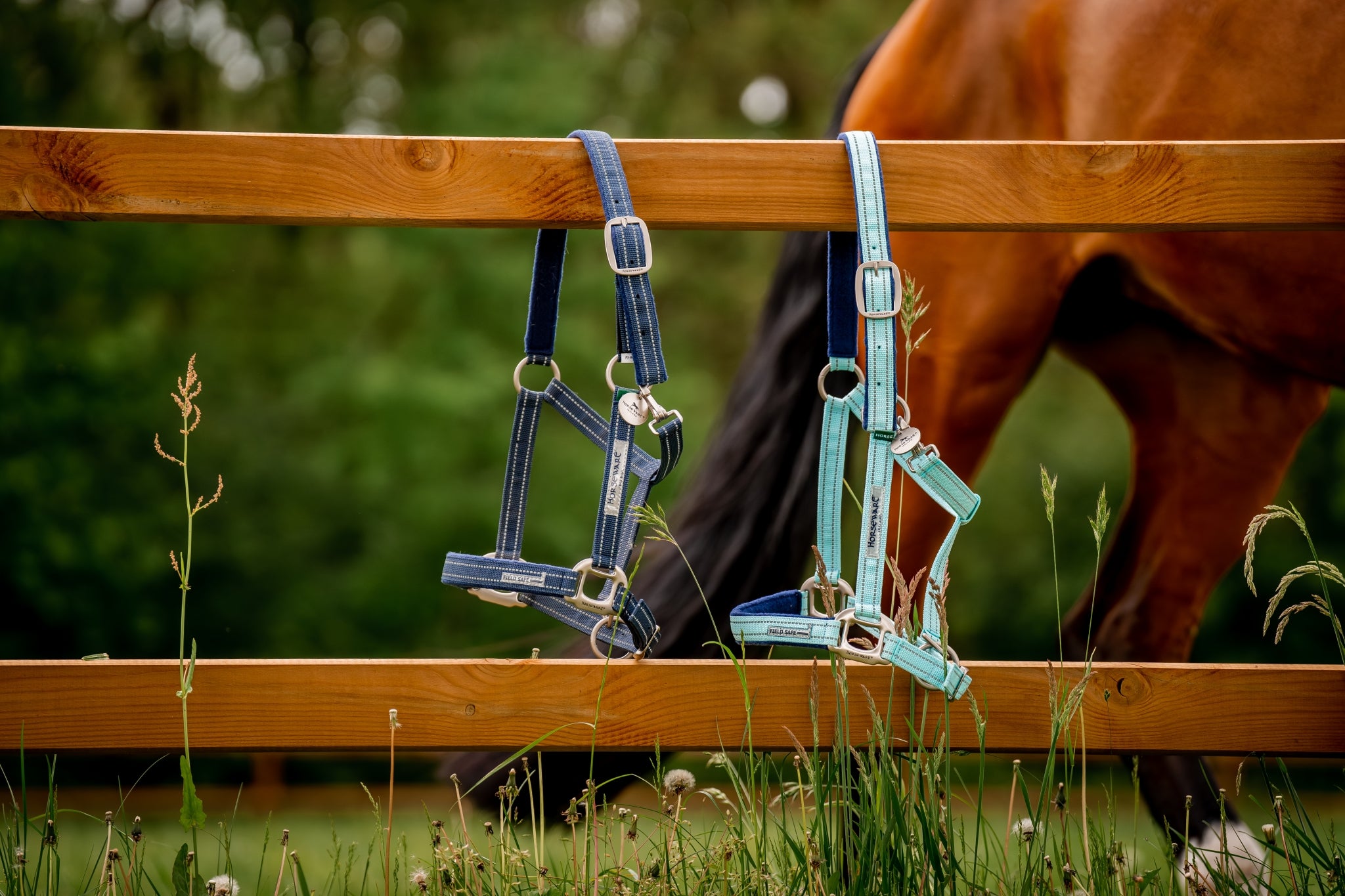 Horseware Fieldsafe Halter