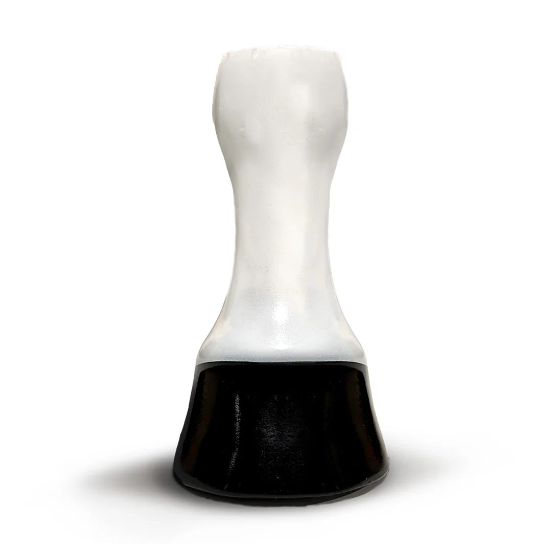 Scoot Boot Horse Leg & Hoof Model