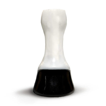 Scoot Boot Horse Leg & Hoof Model