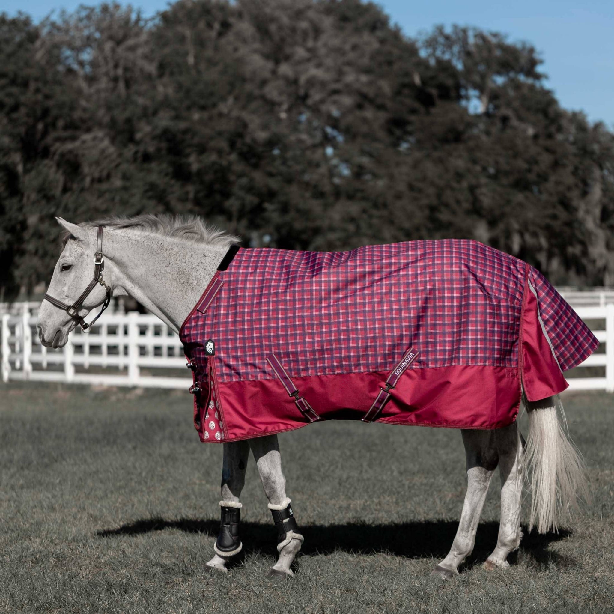 Equinavia Arktis Turnout Blanket 300g