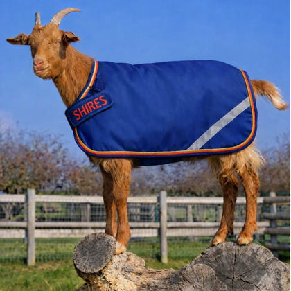 Shires Tempest 100 Goat Rug