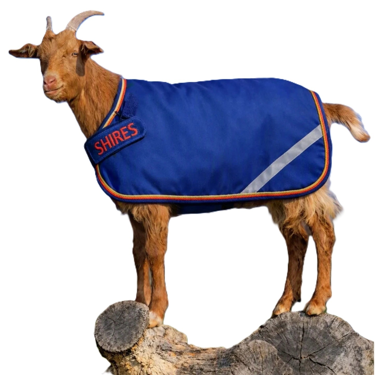 Shires Tempest 100 Goat Rug